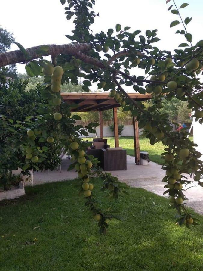 Villa Thanos Marathiás Exterior foto